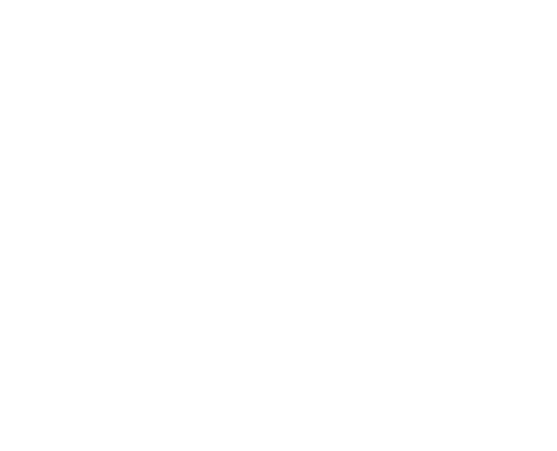 تشک زست